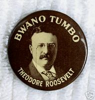 TEDDY ROOSEVELT CELLULOID PINBACK